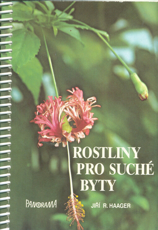 Rostliny pro suché byty