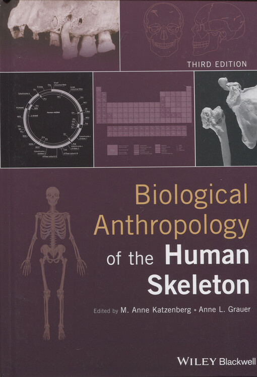 Biological anthropology of the human skeleton