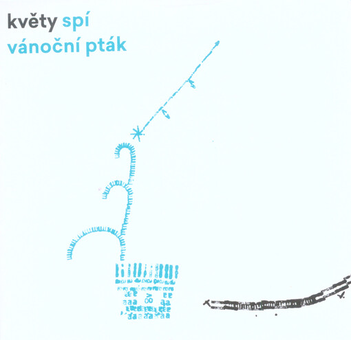 Spí vánoční pták