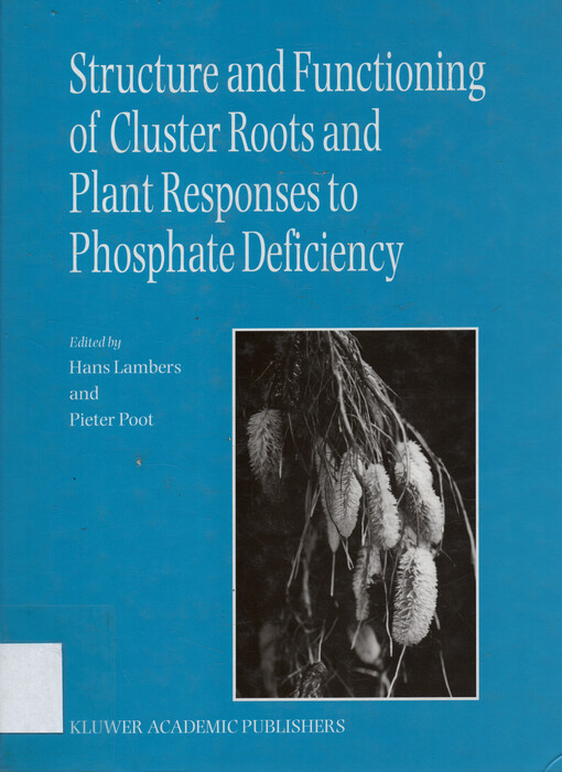 Structure and functioning of cluster roots and plant responses to phosphate deficiency