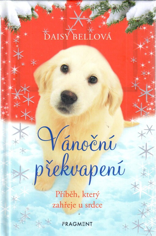 Vánoční překvapení