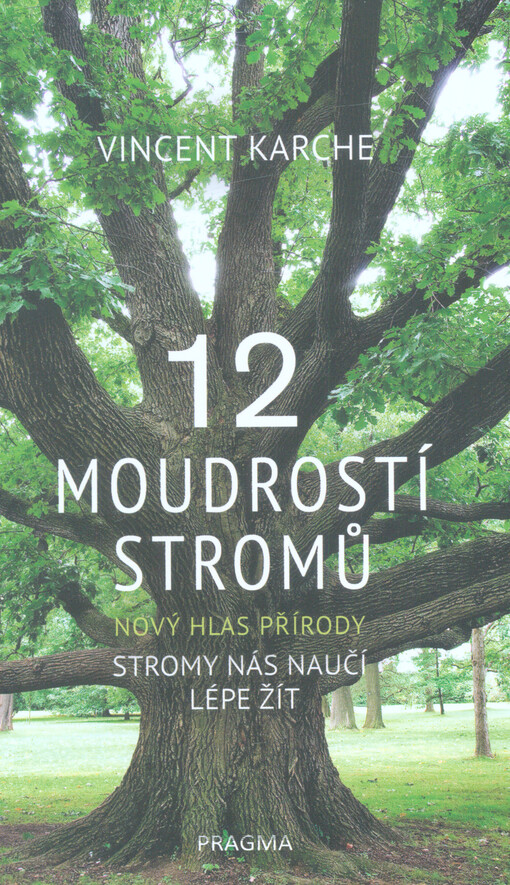 12 moudrostí stromů