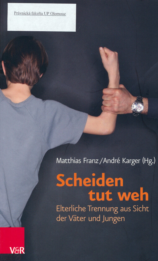 Scheiden tut weh : elterliche Trennung aus Sicht der Väter und Jungen