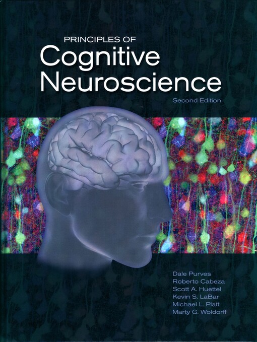 Principles of cognitive neuroscience