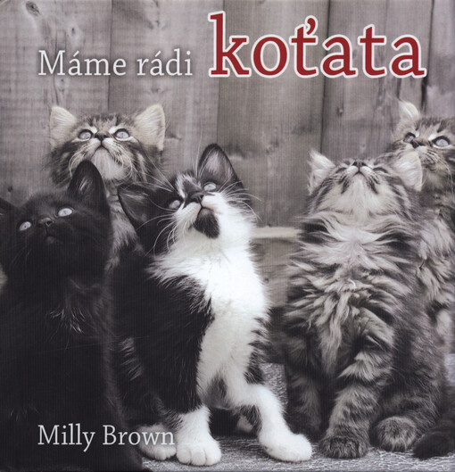 Máme rádi koťata