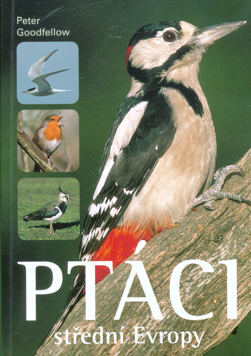 Ptáci střední Evropy