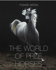 The World of Free Horses