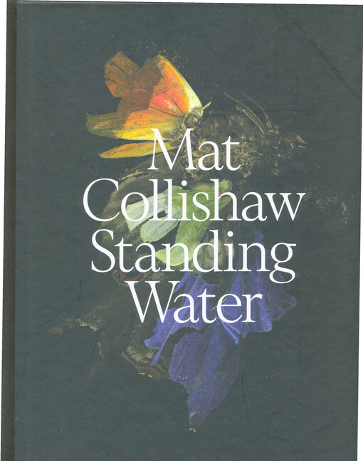 Mat Collishaw : standing water
