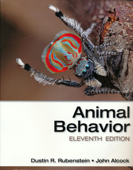Animal behavior