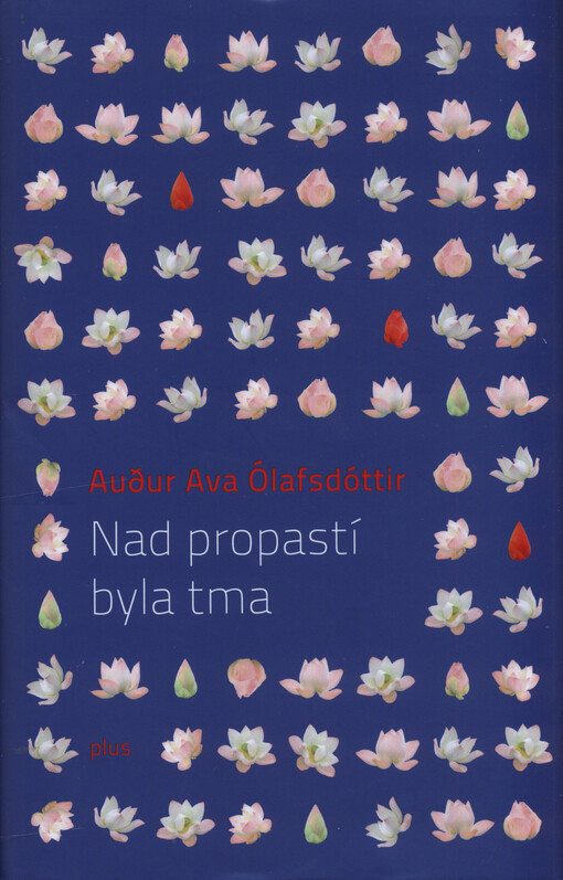 Nad propastí byla tma