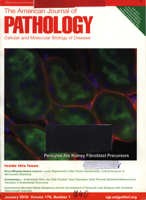 American Journal of Pathology