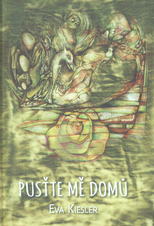 Pusťte mě domů