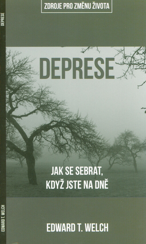 Deprese : jak se sebrat, když jste na dně