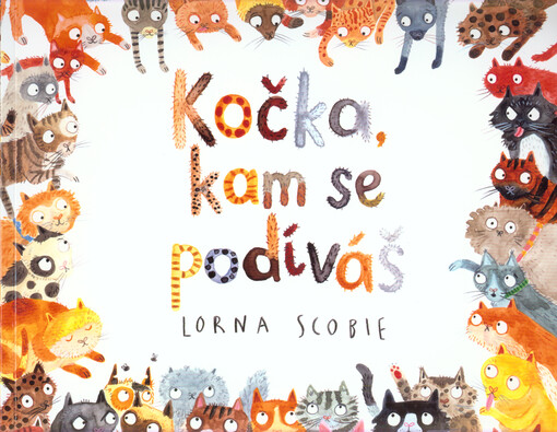Kočka, kam se podíváš
