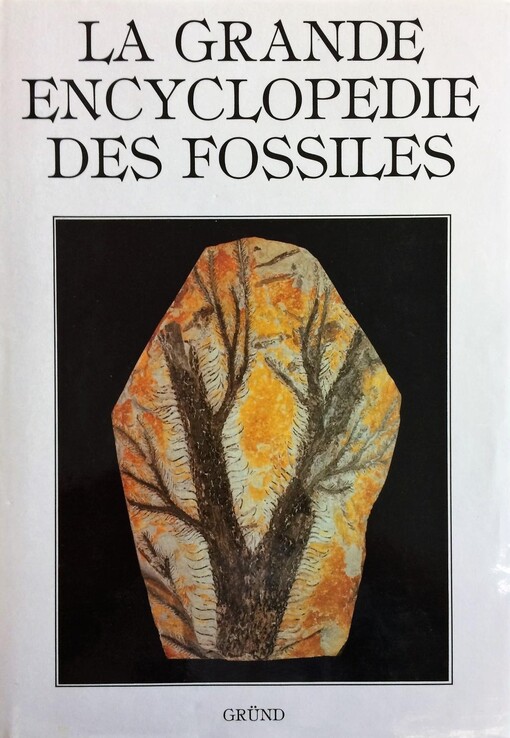 La grande encyklopedie des fossiles