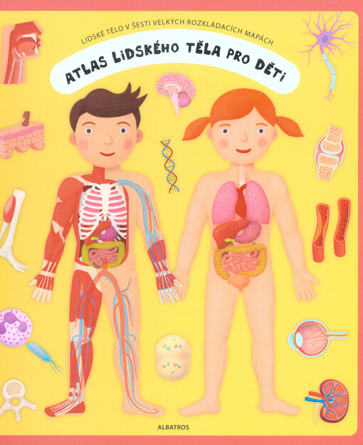 Atlas lidského těla pro děti