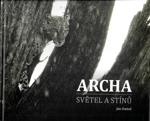 Archa světel a stínů