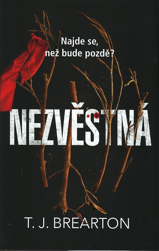 Nezvěstná