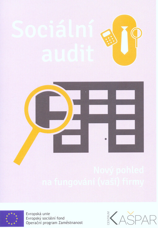 Sociální audit : nový pohled na fungování (vaší) firmy