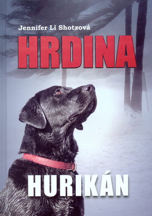 Hrdina: Hurikán