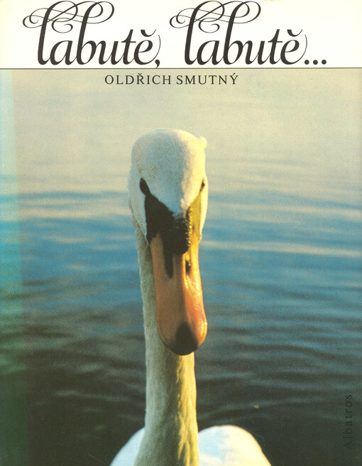 Labutě, labutě--