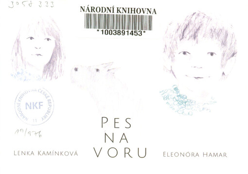 Pes na voru