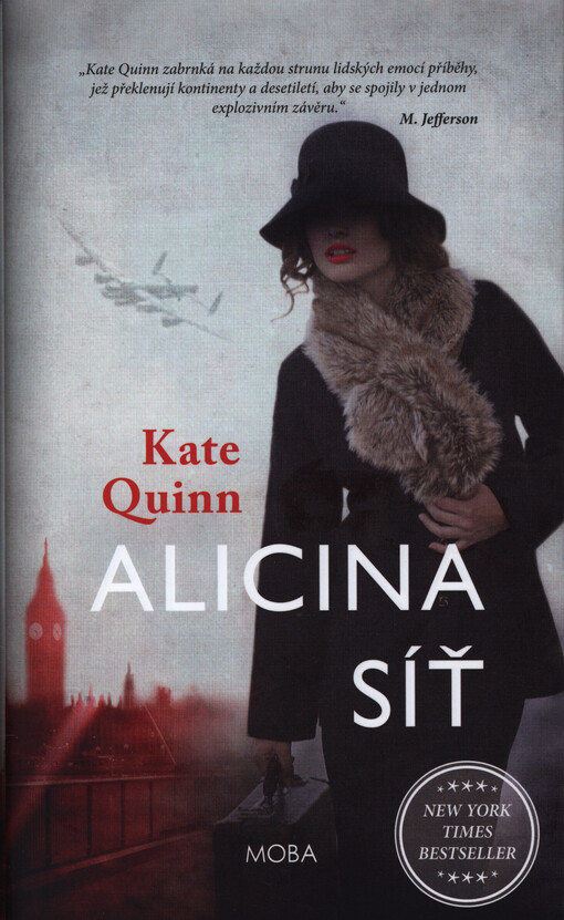 Alicina síť