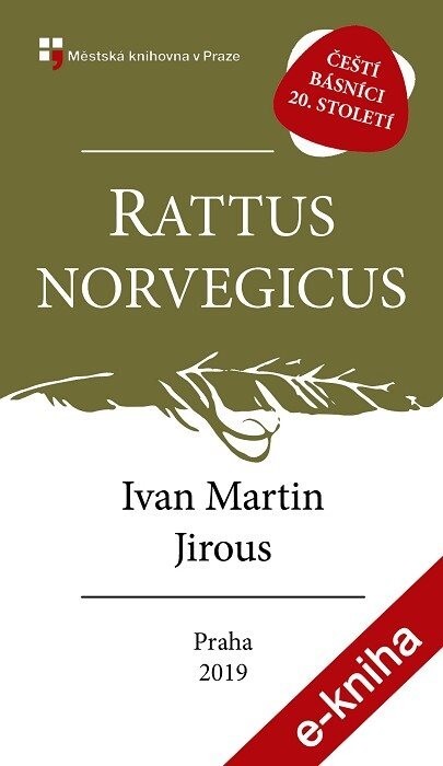 Rattus norvegicus