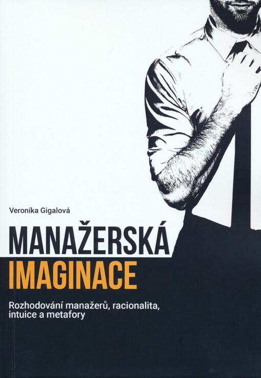 Manažerská imaginace : rozhodování manažerů, racionalita, intuice a metafory