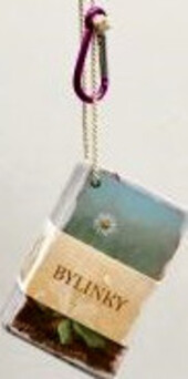 Bylinky : kapesní atlas