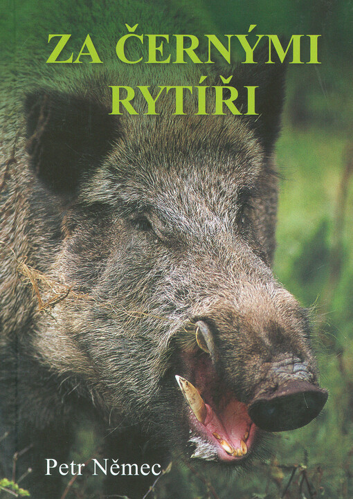 Za černými rytíři