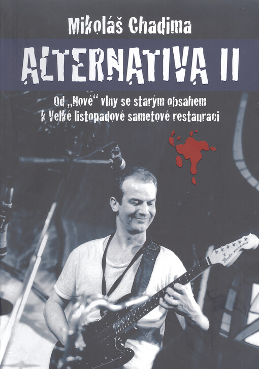 Alternativa II