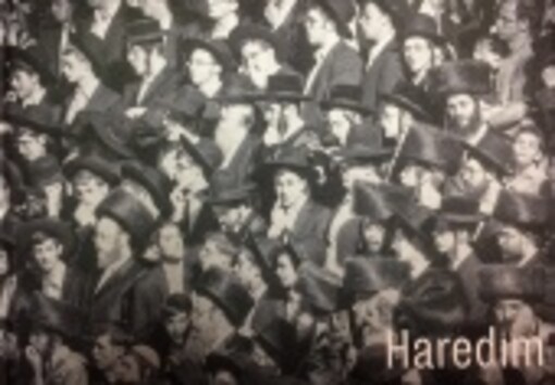 Haredim