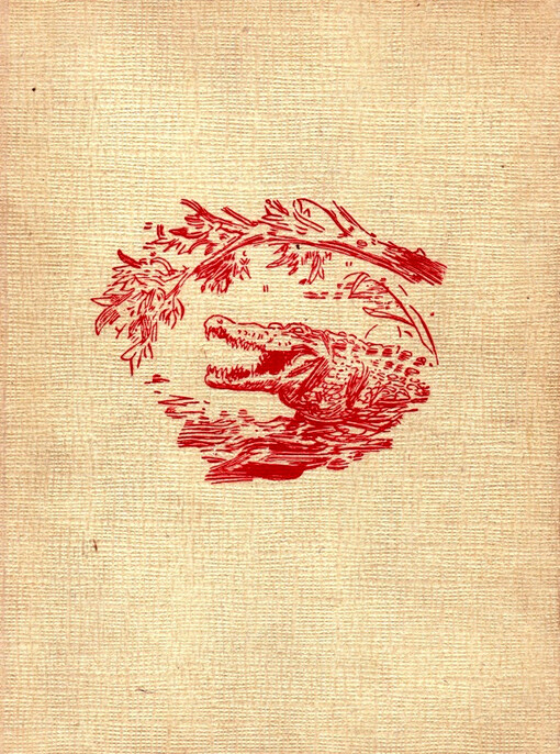  Po neznámé řece džungle