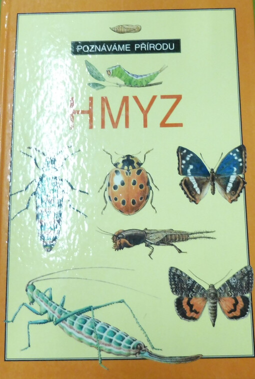 Hmyz