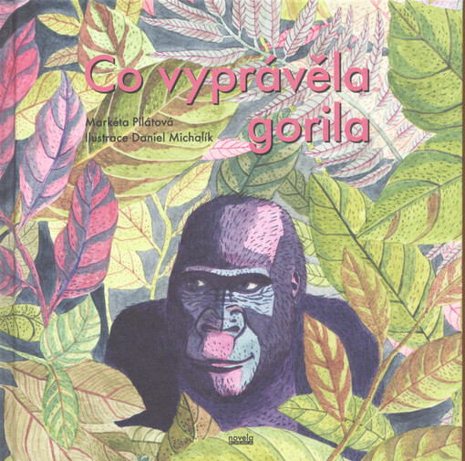 Co vyprávěla gorila