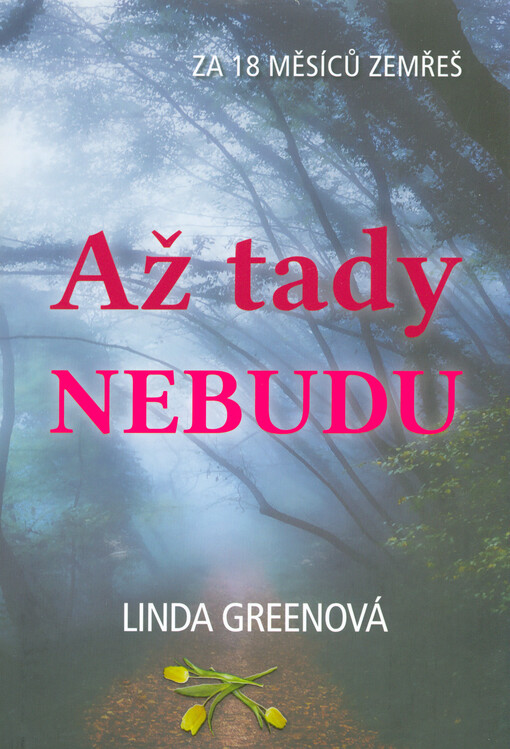 Až tady nebudu