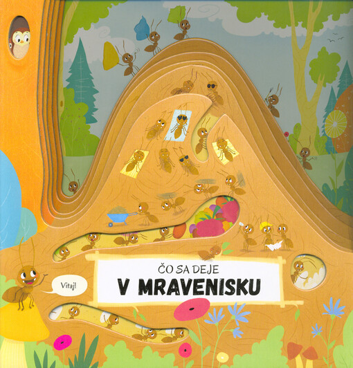Čo sa deje v mravenisku