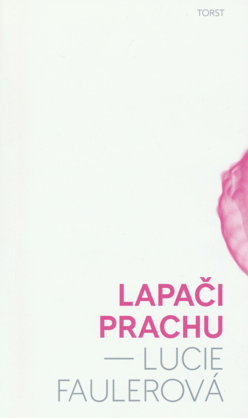 Lapači prachu