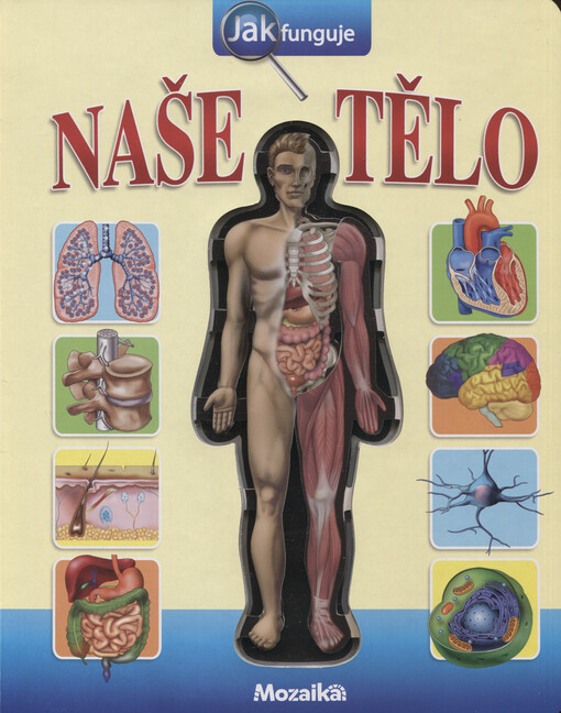 Jak funguje naše tělo