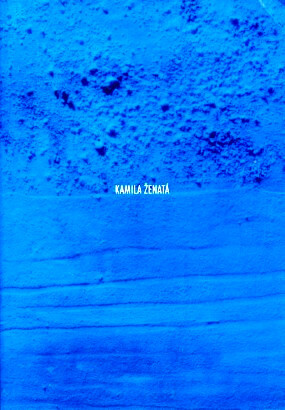 Kamila Ženatá :Alšova Jihočeská galerie, 10. září 1998 - 8. listopadu 1998; Galerie moderního umění v Hradci Králové, 17. listopadu 1998 - 17. ledna 1999