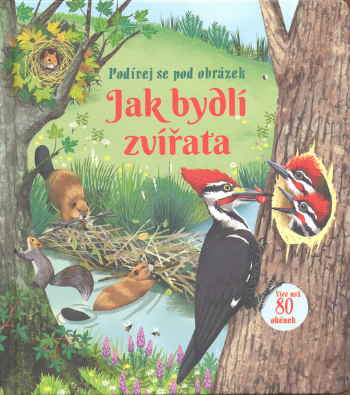 Jak bydlí zvířata