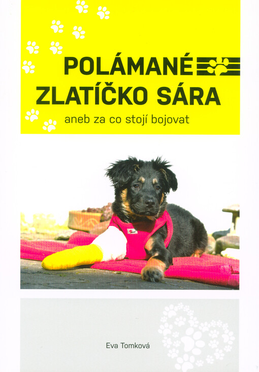 Polámané zlatíčko Sára, aneb, Za co stojí bojovat
