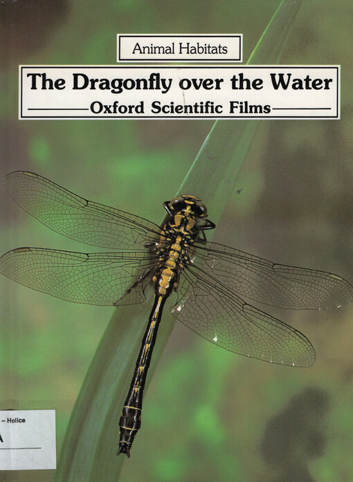 The dragonfly over the water