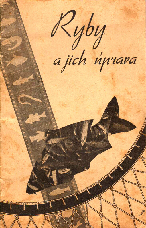 Ryby a jich úprava