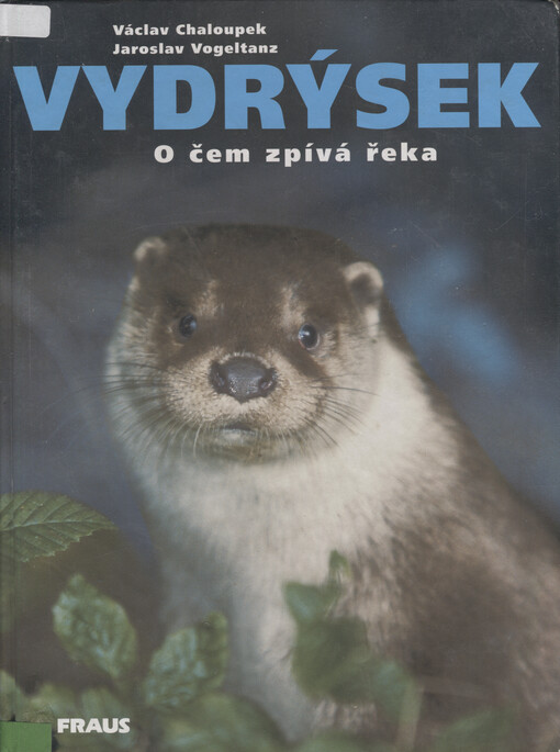 Vydrýsek: o čem zpívá řeka