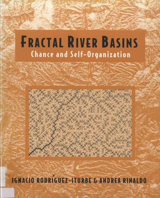 Fractal river basins : chance and self-organization