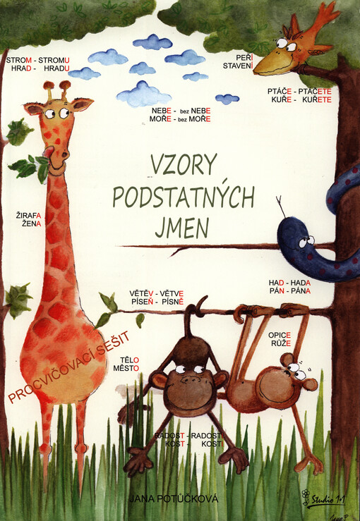 Vzory podstatných jmen