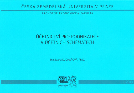 Účetnictví pro podnikatele v účetních schématech