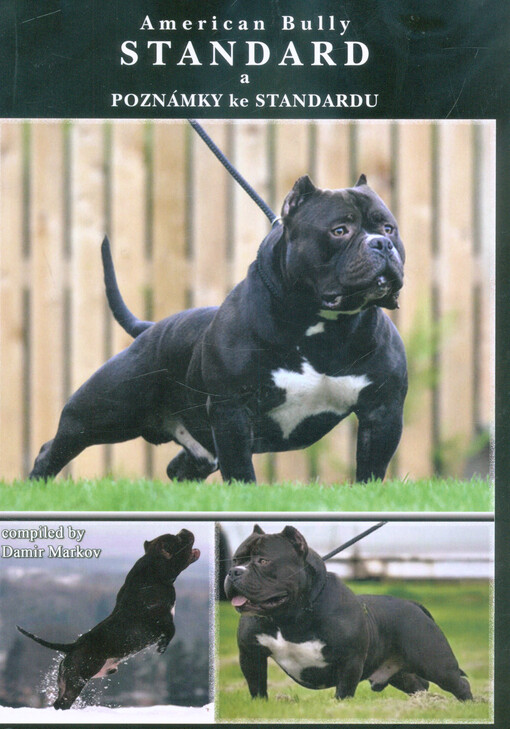 American Bully : standard a poznámky ke standardu